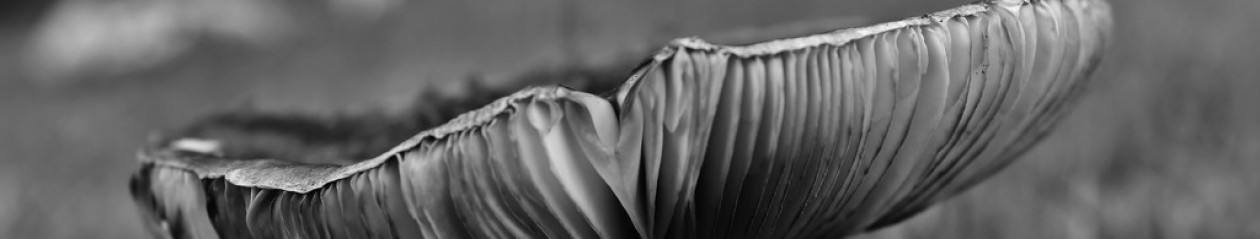 Turning Simple Difficult